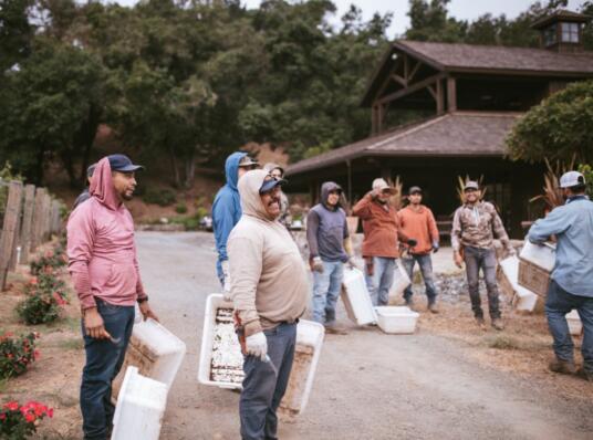 The Vineyard House vineyard management crew